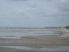  Blick Bei Ebbe